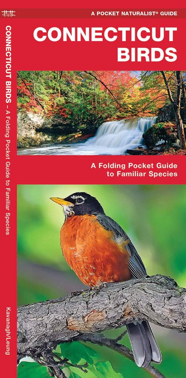 Connecticut Birds: A Folding Pocket Guide to Familiar Species (Wildlife and Nature Identification)