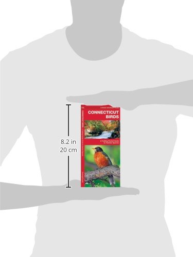 Connecticut Birds: A Folding Pocket Guide to Familiar Species (Wildlife and Nature Identification) - Image 4